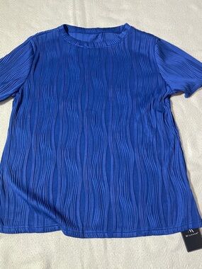 NWT Dressy Blue Shirt